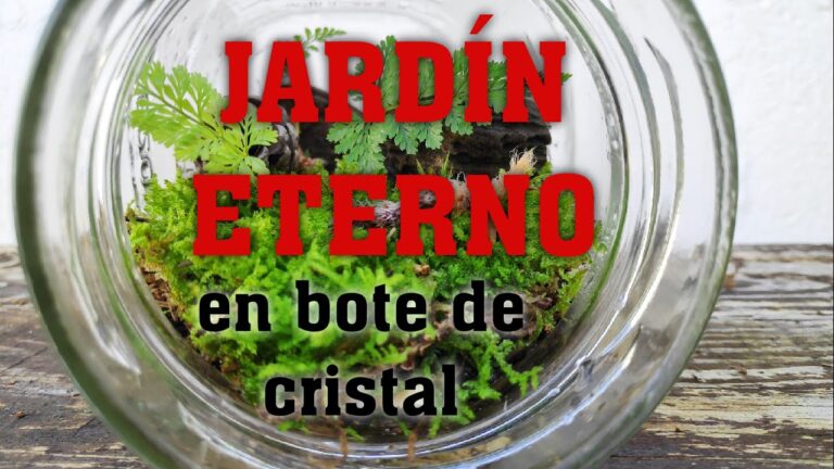 Como Hacer Un Jardin Eterno